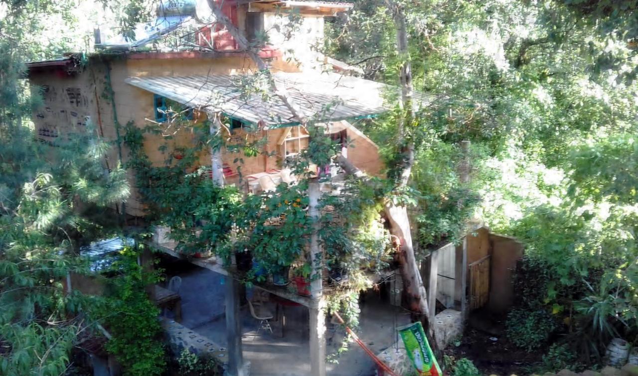 Casa Ecologica Apartment Tepoztlán Exterior photo