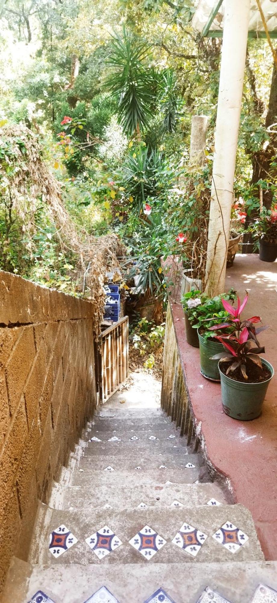 Casa Ecologica Apartment Tepoztlán Exterior photo