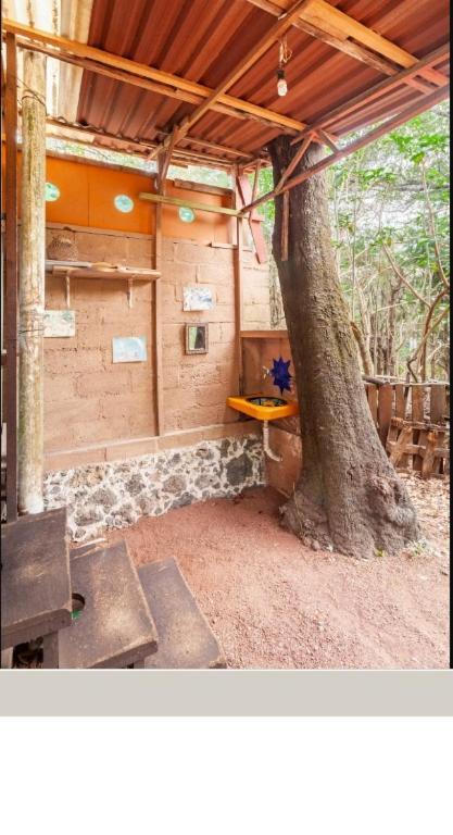 Casa Ecologica Apartment Tepoztlán Exterior photo