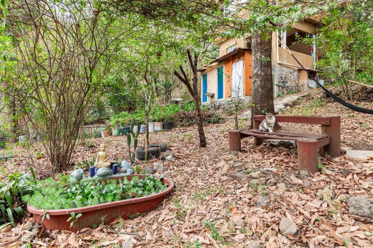 Casa Ecologica Apartment Tepoztlán Exterior photo